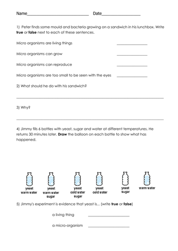 Science tests | Teaching Resources
