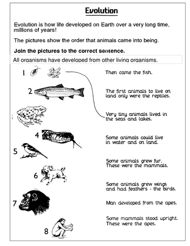 Evolution Teaching Resources