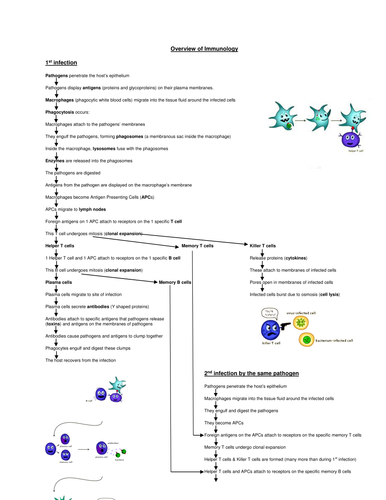 Immunology summary