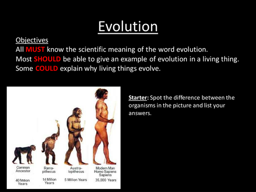 Evolution Powerpoint | Teaching Resources