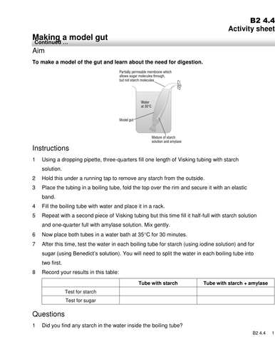 How to make a model gut