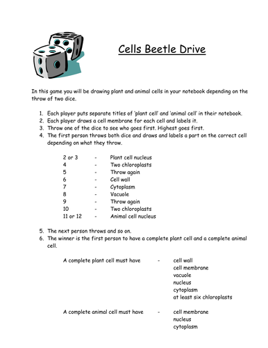 Cells Beetle Drive