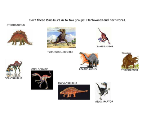 dinosaur sorting game