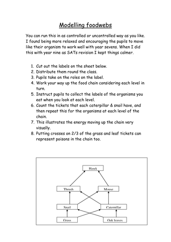 Lion King foodwebs by jeltjie - Teaching Resources - TES