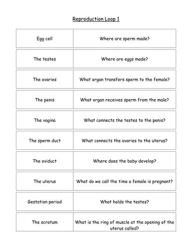 Reproduction loop games