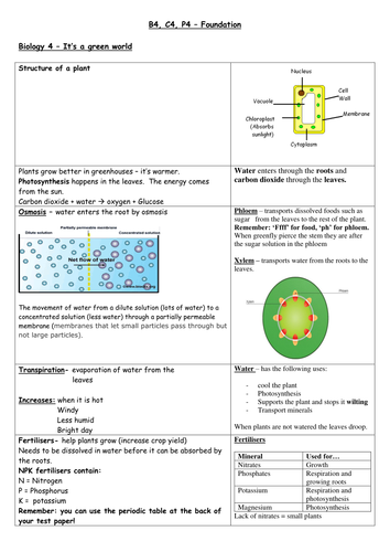 Science review guides