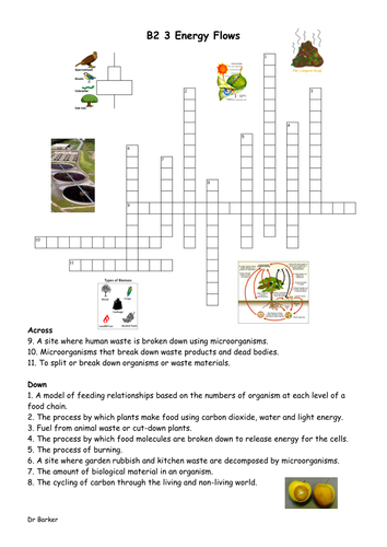 Additional biology review crosswords