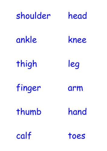 Body Part Labels | Teaching Resources