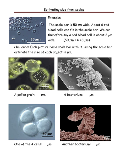 Estimating size from scales | Teaching Resources