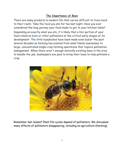 Colony Collapse Disorder