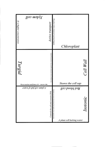 Card sort puzzle on cells