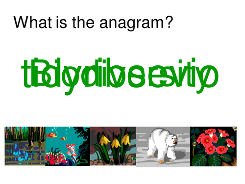 Biodiversity Starter