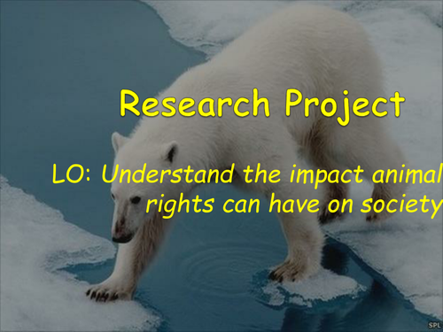 Research Project