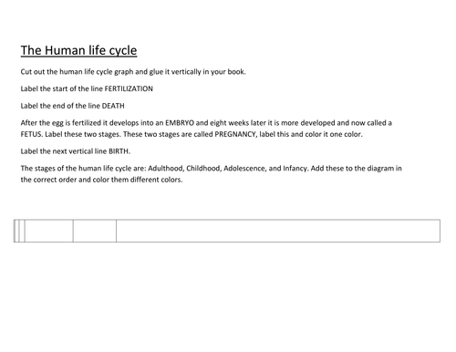 Human life cycle handout