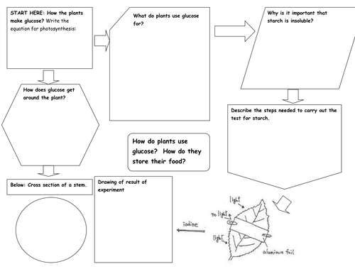 Uses of glucose in plants by zuba102 - Teaching Resources ...