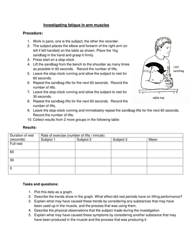 Investigating fatigue in arm muscles