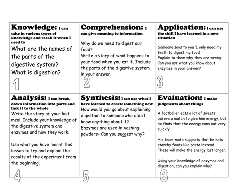 Digestion and Enzymes