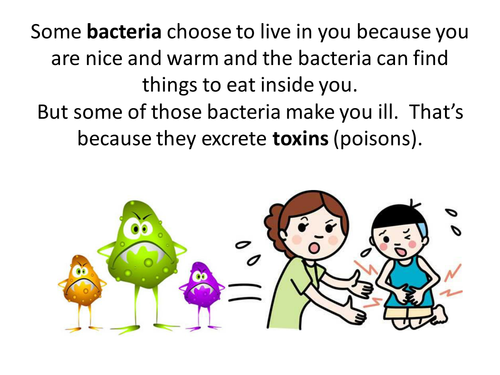 Antigens and Antibodies storyboard