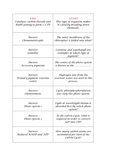 Photosynthesis review Loop Game
