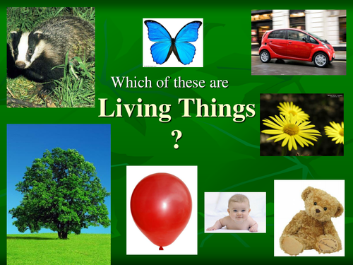 Living Things/ Balanced Diet PowerPoint