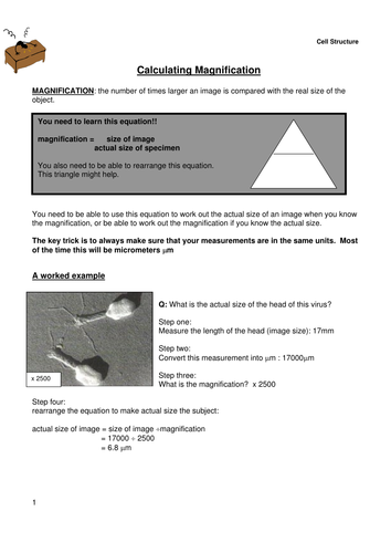 Calculating magnification, diagram size and real size by cmrcarr - UK