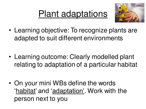 Worksheets Plant Adaptations Worksheets 5th Grade plant adaptations by smcdonnell1 teaching resources tes