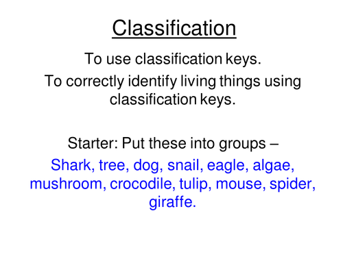 Interdependence and adaptation