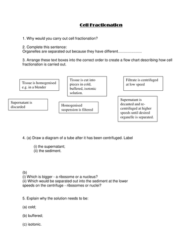 Cell Fractionation