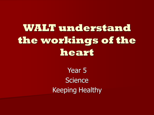 Workings of the heart PowerPoint