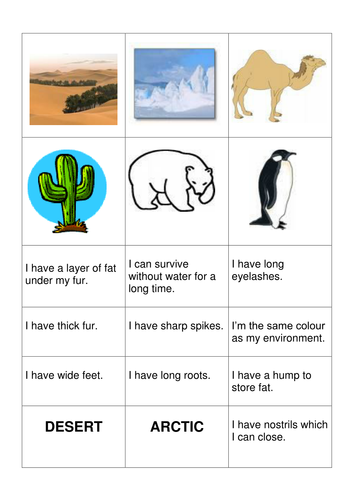 Suited to their environment - matching activity