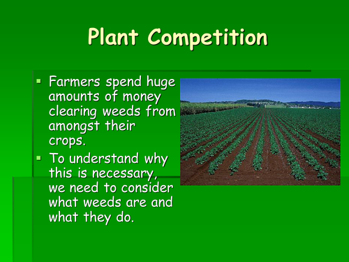 Plant competition