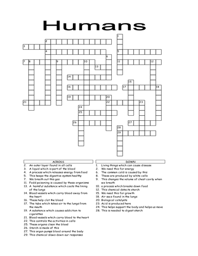 Humans crossword Teaching Resources