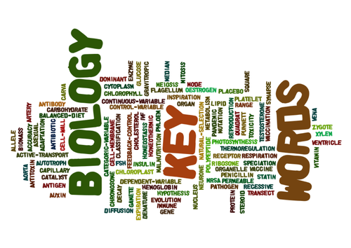 Using Word Clouds for SEN & as prompts by - UK Teaching Resources - TES