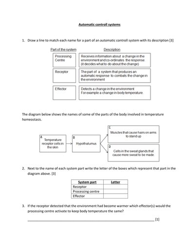 Homeostasis lesson plan + worksheet