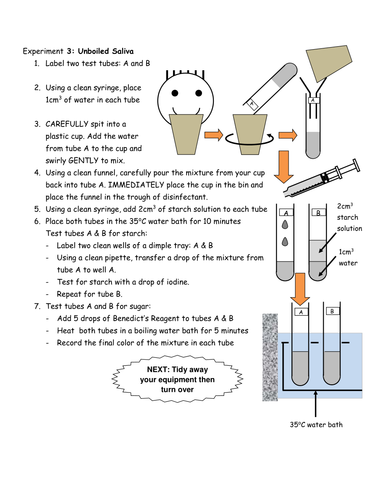 Investigating Saliva