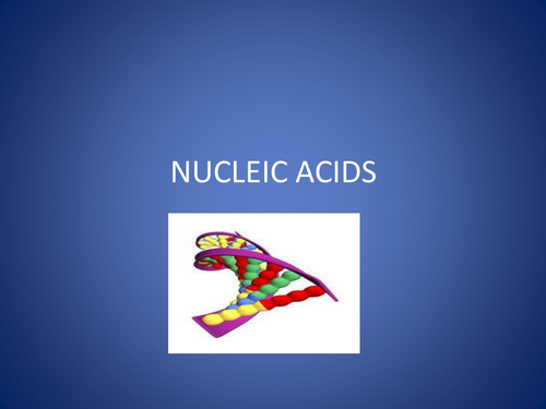Nucleic Acids