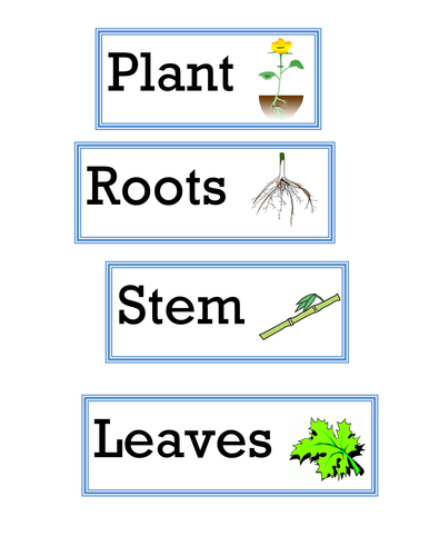 Vocabulary Display Interdependence