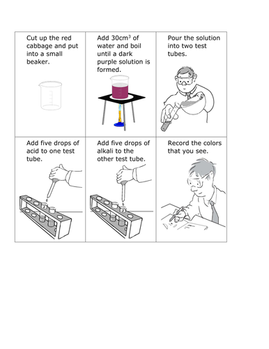 Sorting exercise - red cabbage indicators