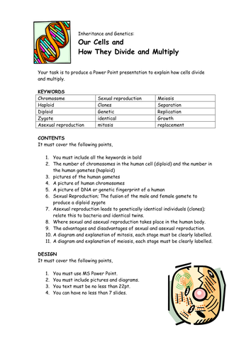 cell-division-ppt-worksheet-teaching-resources