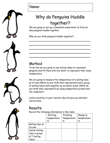Penguins: Science transition activity | Teaching Resources