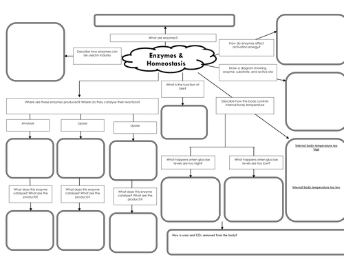 Enzymes and Photosynthesis Mindmap