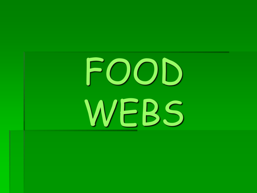 Food Webs