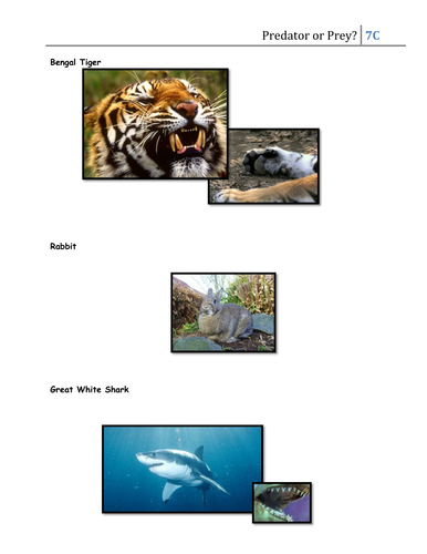Predator or Prey? by CSnewin - Teaching Resources - TES