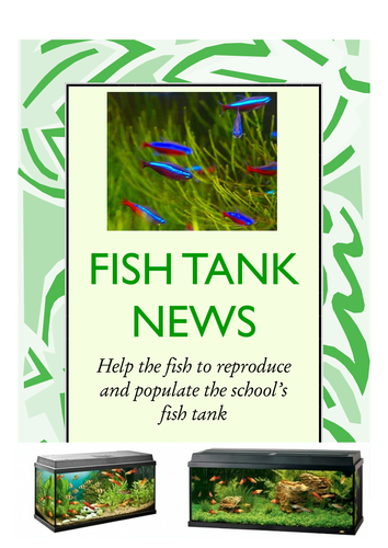 Factors affecting photosynthesis