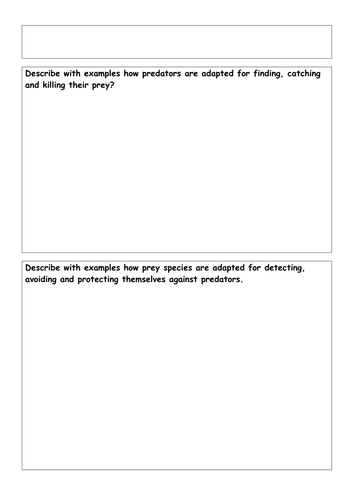 Essay predators 04 image