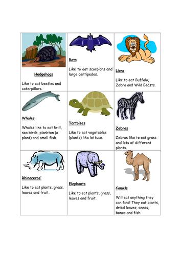 Sort plants and animals by gboorman - Teaching Resources - TES