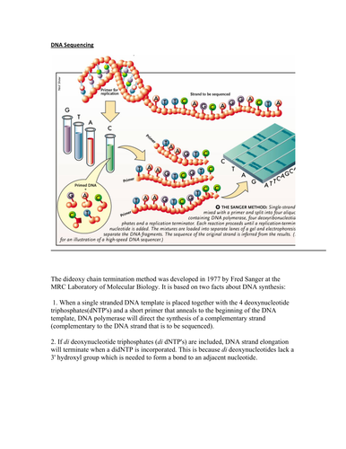 DNA Sequencing Activity | Teaching Resources