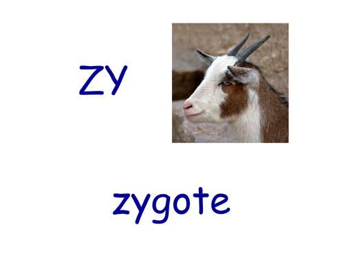 Reproduction catchphrase