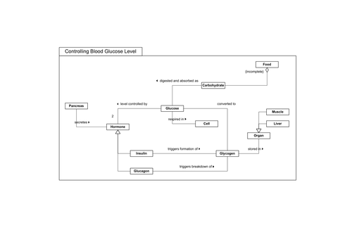 Control of Blood Sugar Concept Map