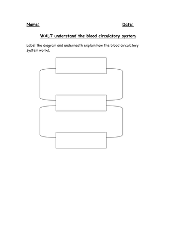 Blood Circulatory System Teaching Resources